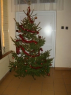holleanyo2015_3_20210412
